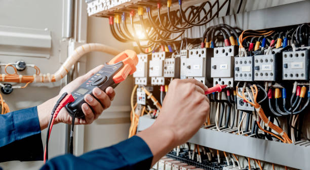 Best Local Electrician Companies  in Sullivan City, TX