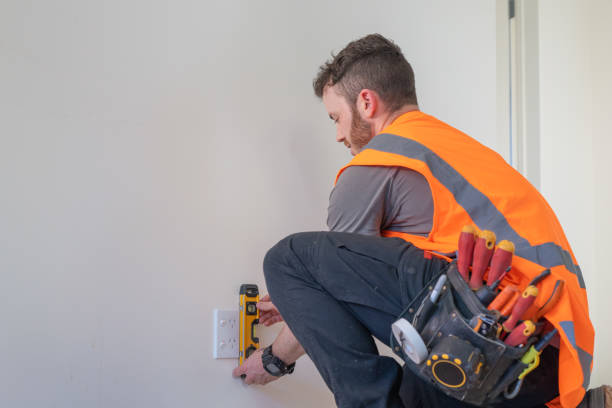 Best Affordable Electrician  in Sullivan City, TX