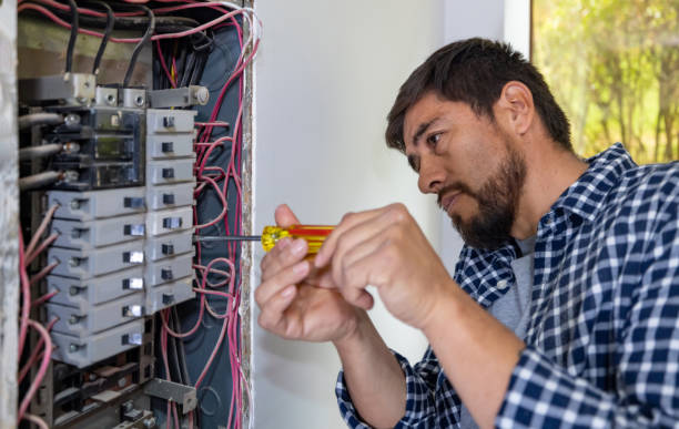 Best Ceiling Fan Installation Electrician  in Sullivan City, TX